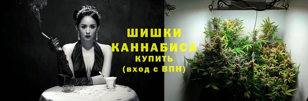 твердый Новодвинск