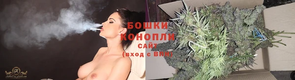 дурь Нягань