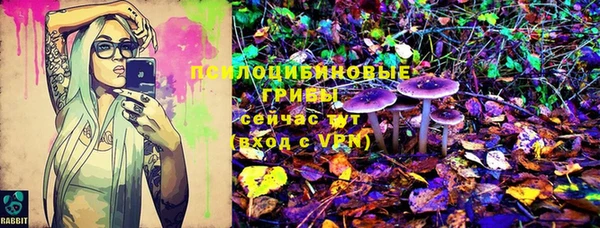 дурь Нягань