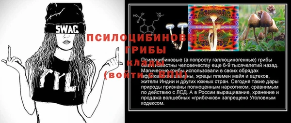 spice Няндома
