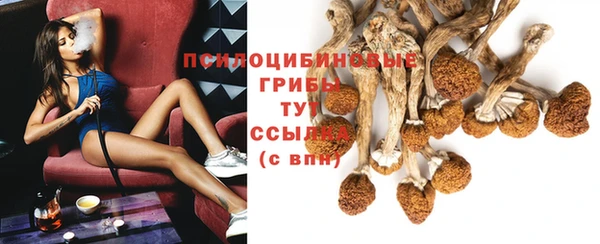 jwh Нязепетровск