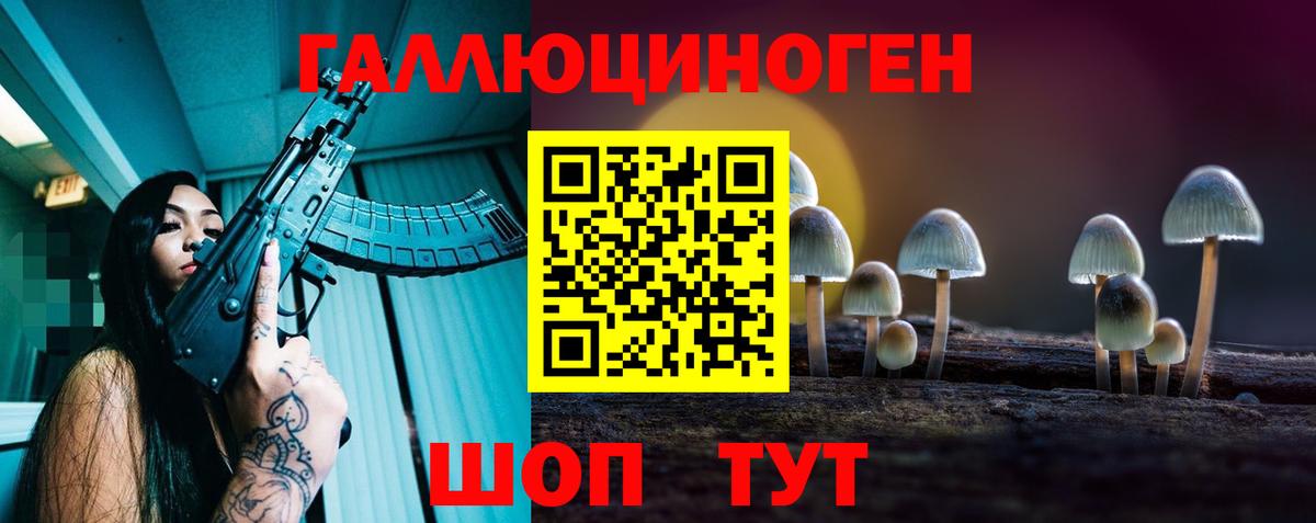 Галлюциногенные грибы Cubensis Искитим