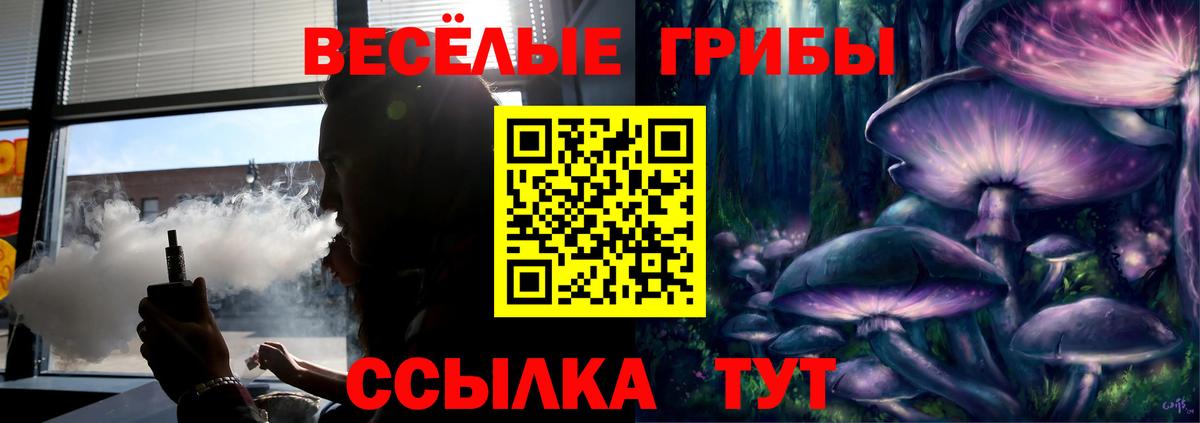 Искитим  Галлюциногенные грибы Psilocybine cubensis  Вход с VPN 