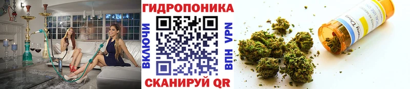 закладки  Искитим  ОМГ ОМГ   Конопля SATIVA & INDICA 
